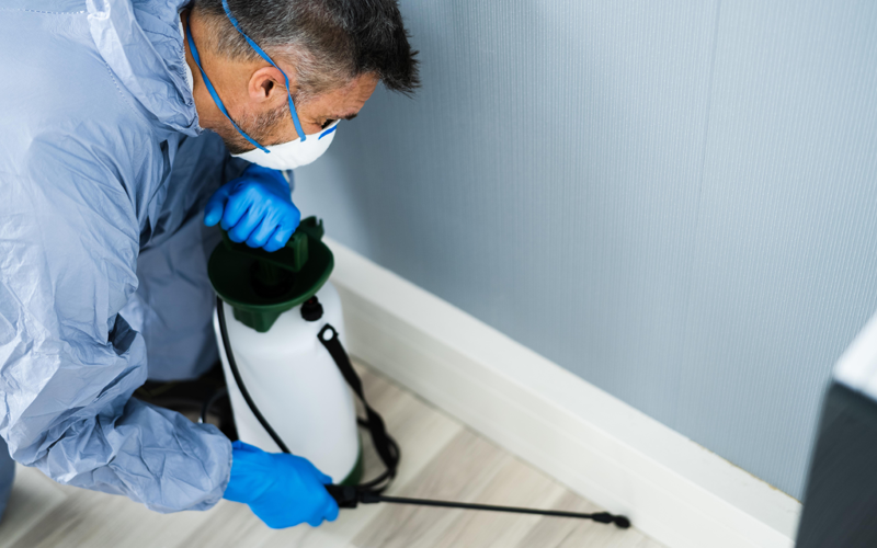 Bungalow termite control